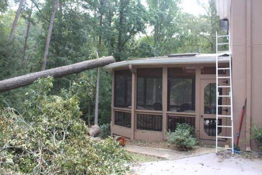 Tree fallen across a screened porch roof after Hurricane Irma